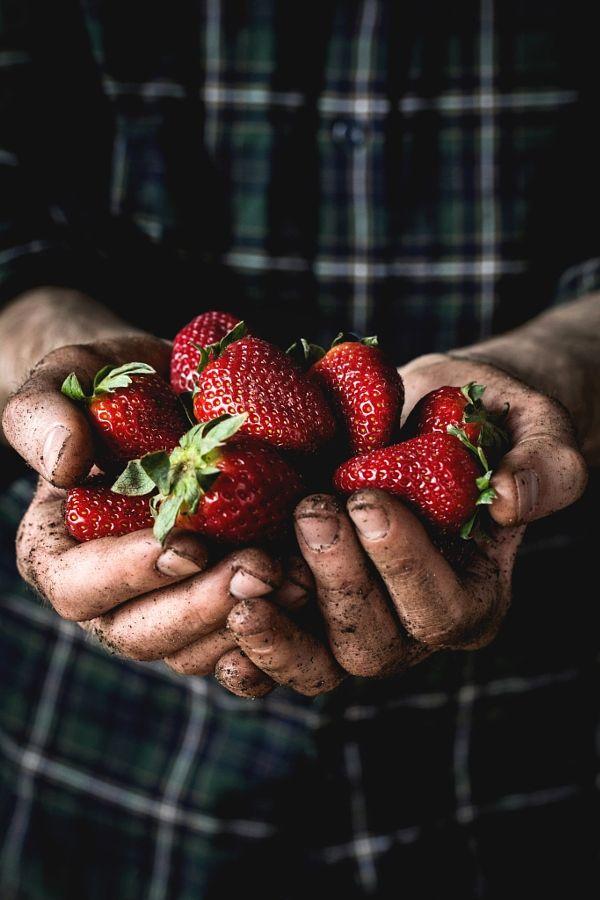 Rustic Basket Bounty: Season's Best Harvest